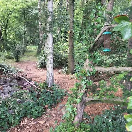 Σπίτι διακοπών Holly Cottage. Romantic Getaway. Tourist Base.