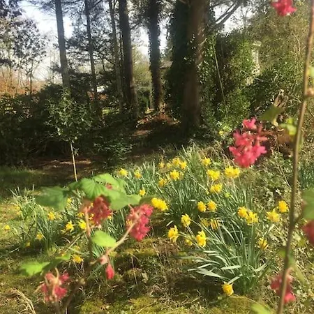 Holiday home Holly Cottage. Romantic Getaway. Tourist Base. *