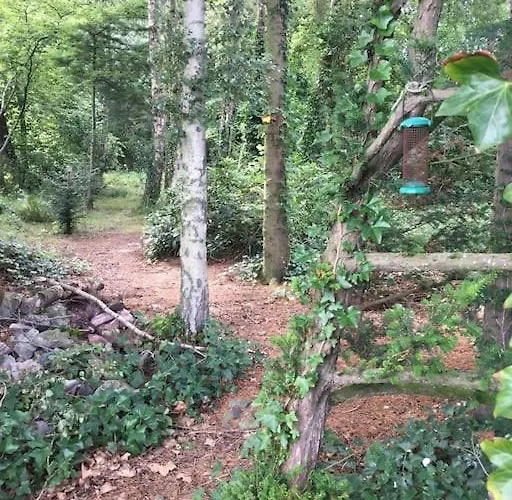 Nyaraló Holly Cottage. Romantic Getaway. Tourist Base.