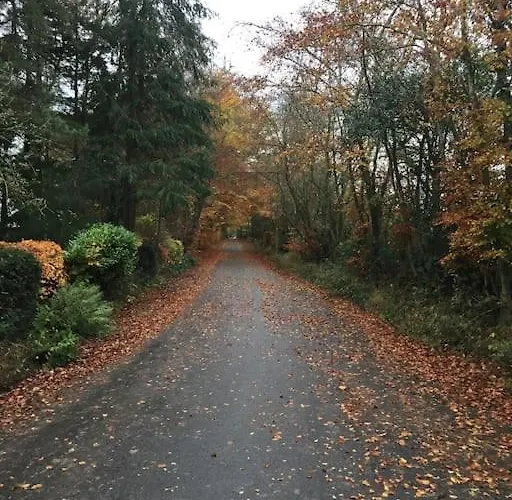 Holly Cottage. Romantic Getaway. Tourist Base. *