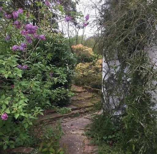 Holly Cottage. Romantic Getaway. Tourist Base. Nyaraló Harker