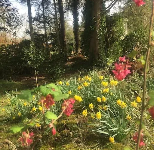 Nyaraló Holly Cottage. Romantic Getaway. Tourist Base. *